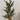 Traditional Fir Tree w/ Burlap Base (Green Fir) 24"